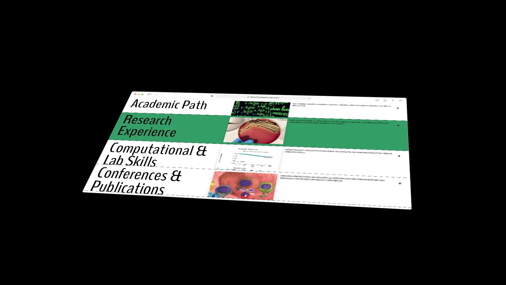 Proyecto Claudia Pascual