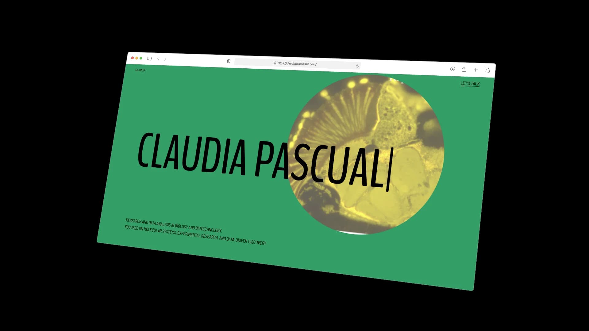 Proyecto Claudia Pascual